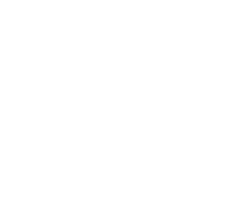 Official Selection — 3 Rivers International Film Festival